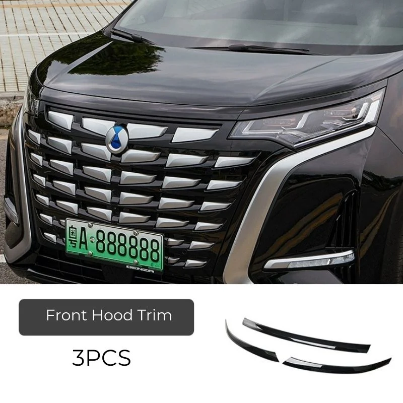 Black Trim Kit for DENZA D9 - Image 9