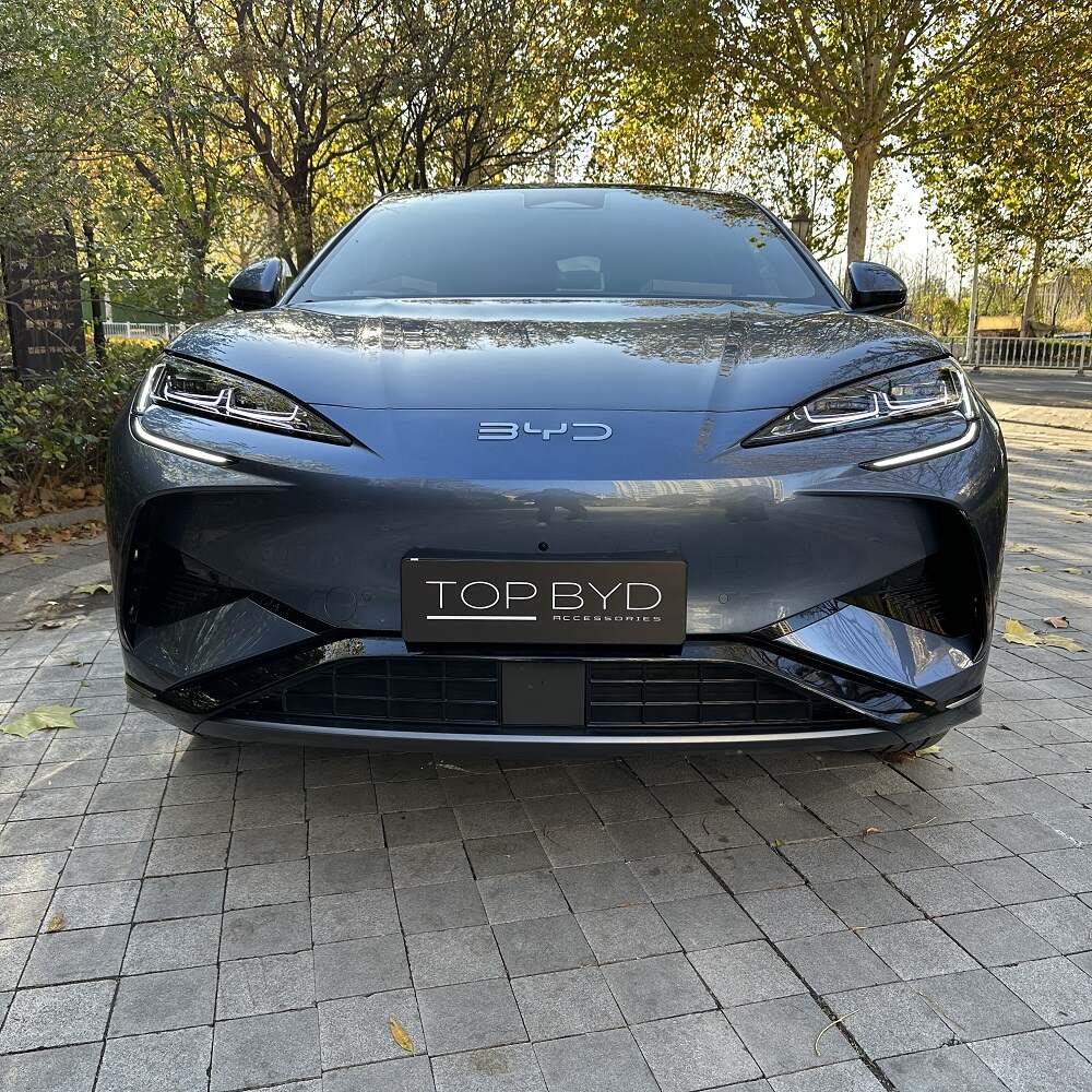 BYD Sealion 7 Grille Proof Net - Image 3