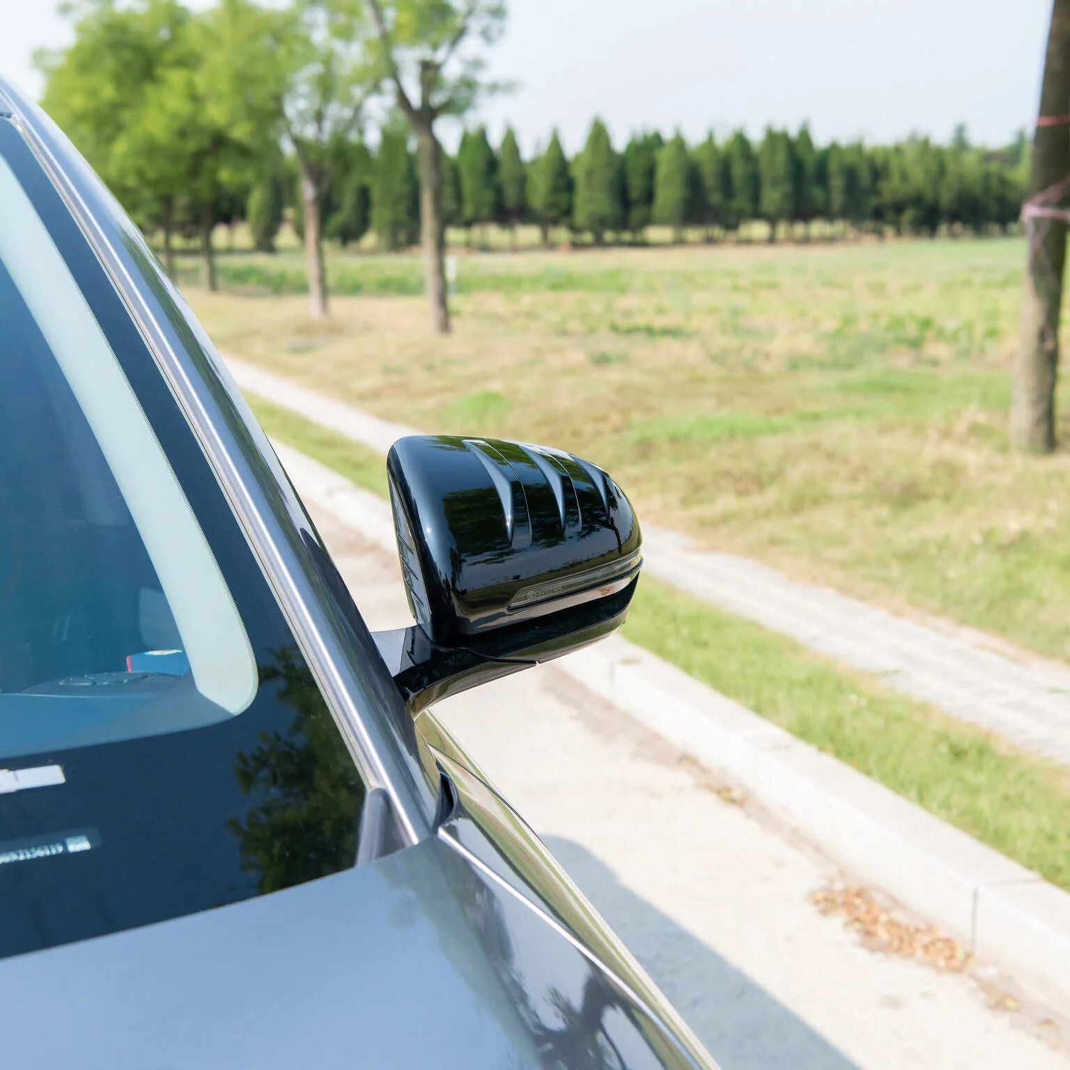 Outside Mirrors Cap for BYD Atto 3 & Sealion 6/Seal U (2 Pcs） - Image 11