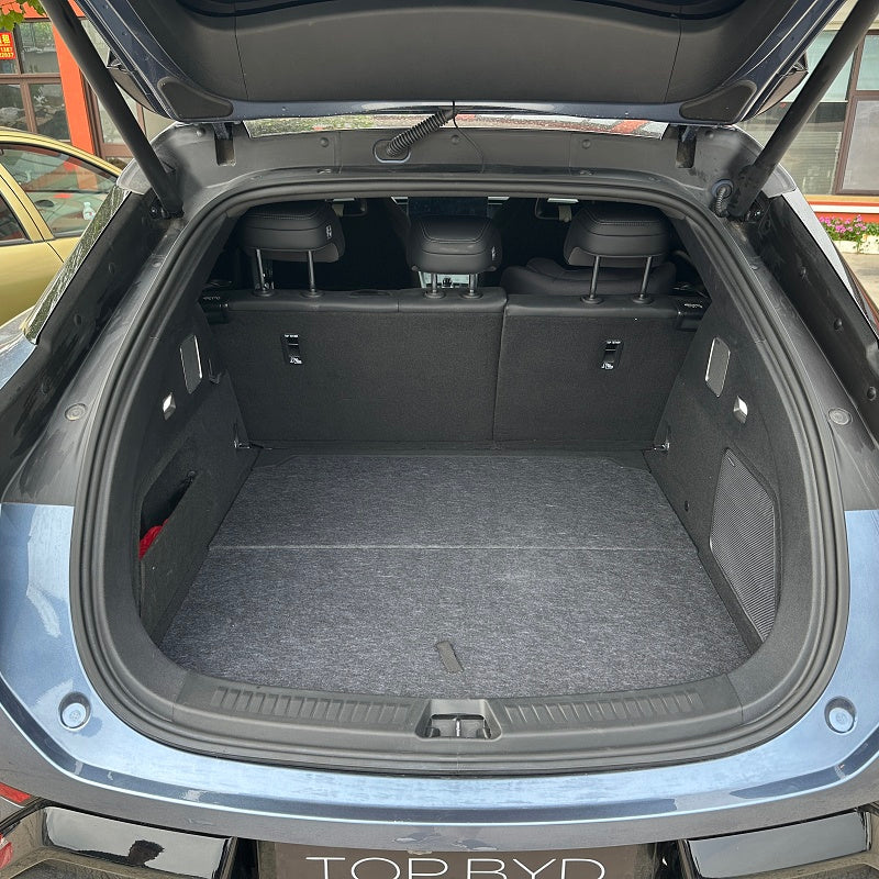 Trunk Folding Cover Plate for Sealion 7 - Image 2